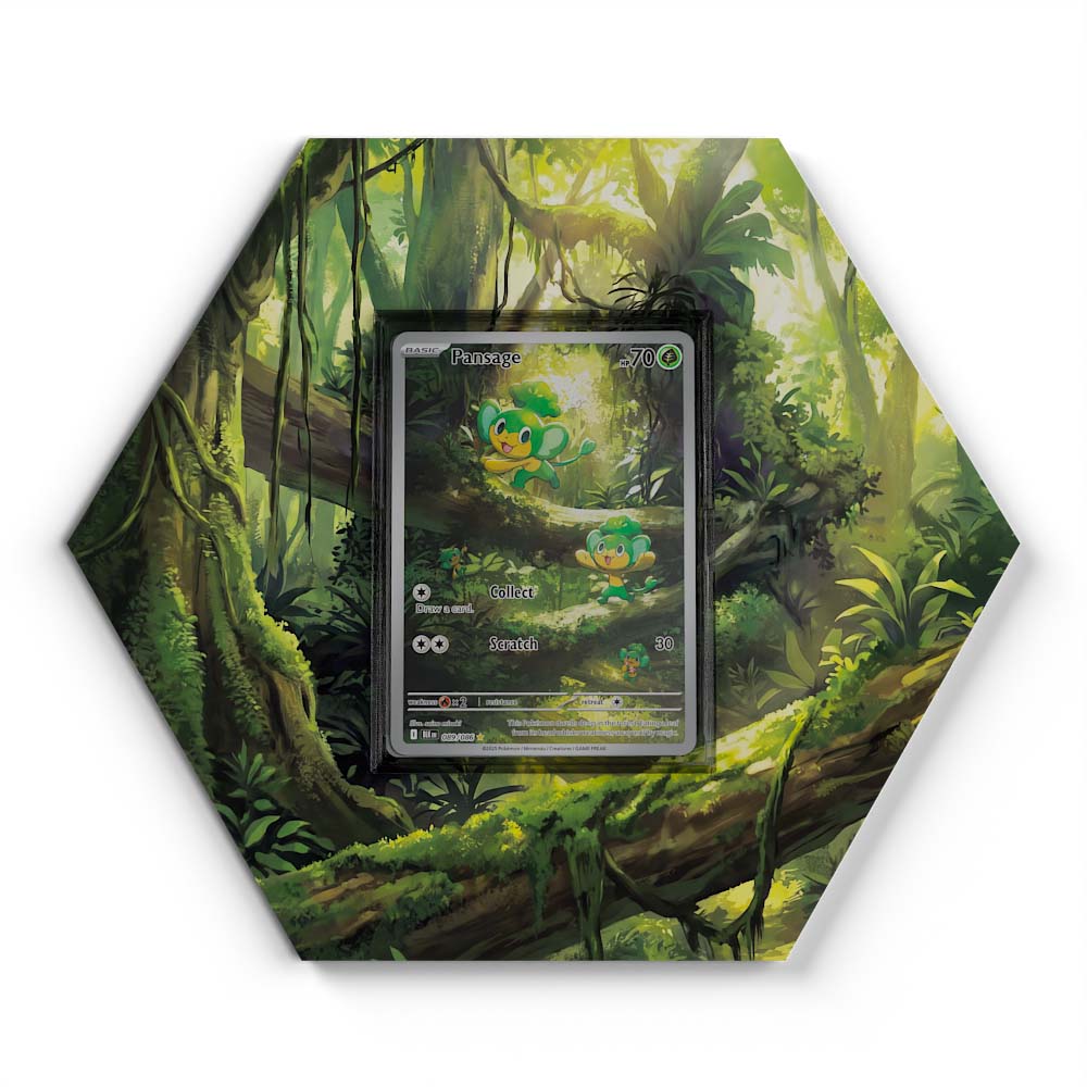 pansage pokemon card 089/086 Tohoku Certificate number:119273763 and more in Tournament Deck Gecko Moria
