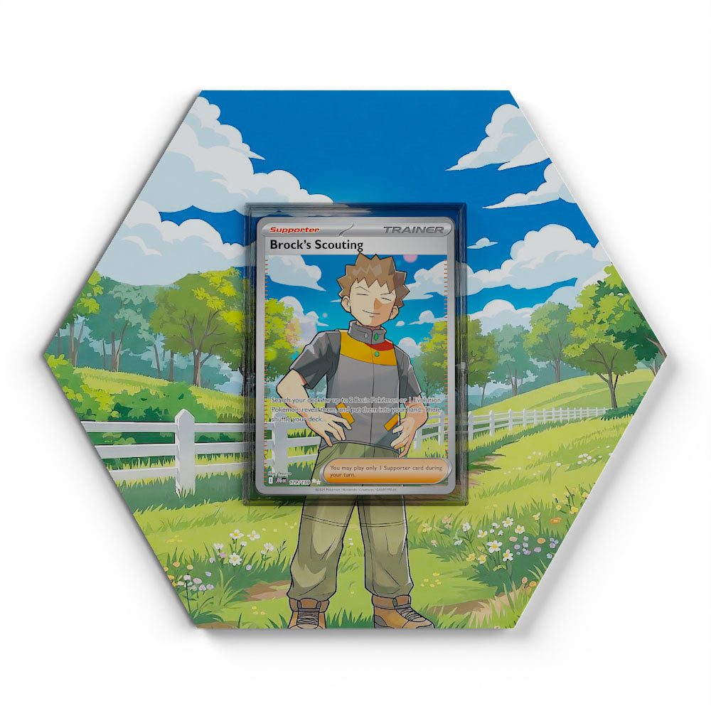 pokemon card brock 179/159 Brock's Scouting