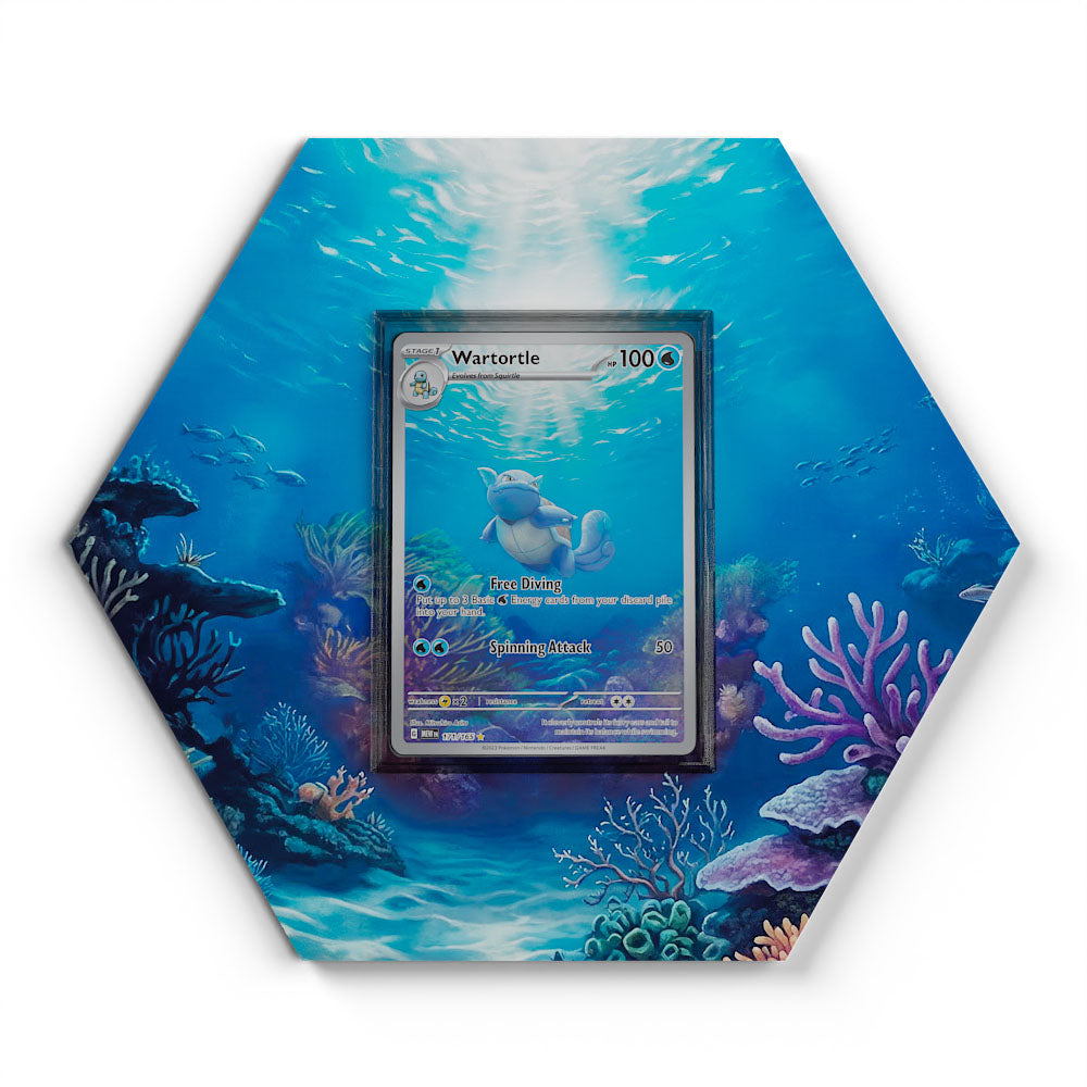 171/165 Wartortle