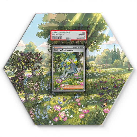 186/132 Wally's Compassion - Extended Artwork Pokemon Card Display