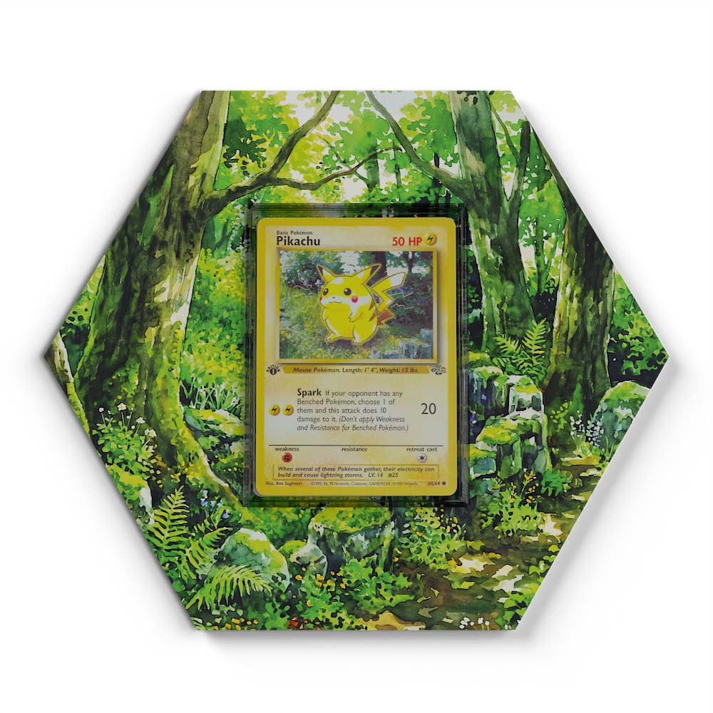 pikachu pokemon card 60 64 60/64 Variants:(2003) Skyridge *Guaranteed Holo* (Dont apply Weakness and The Basics Behind The Fire