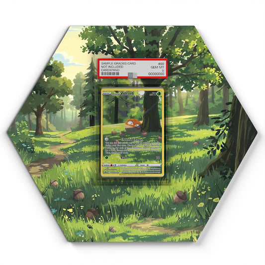 GG01/GG70 Hisuian Voltorb - Extended Artwork Pokemon Card Display