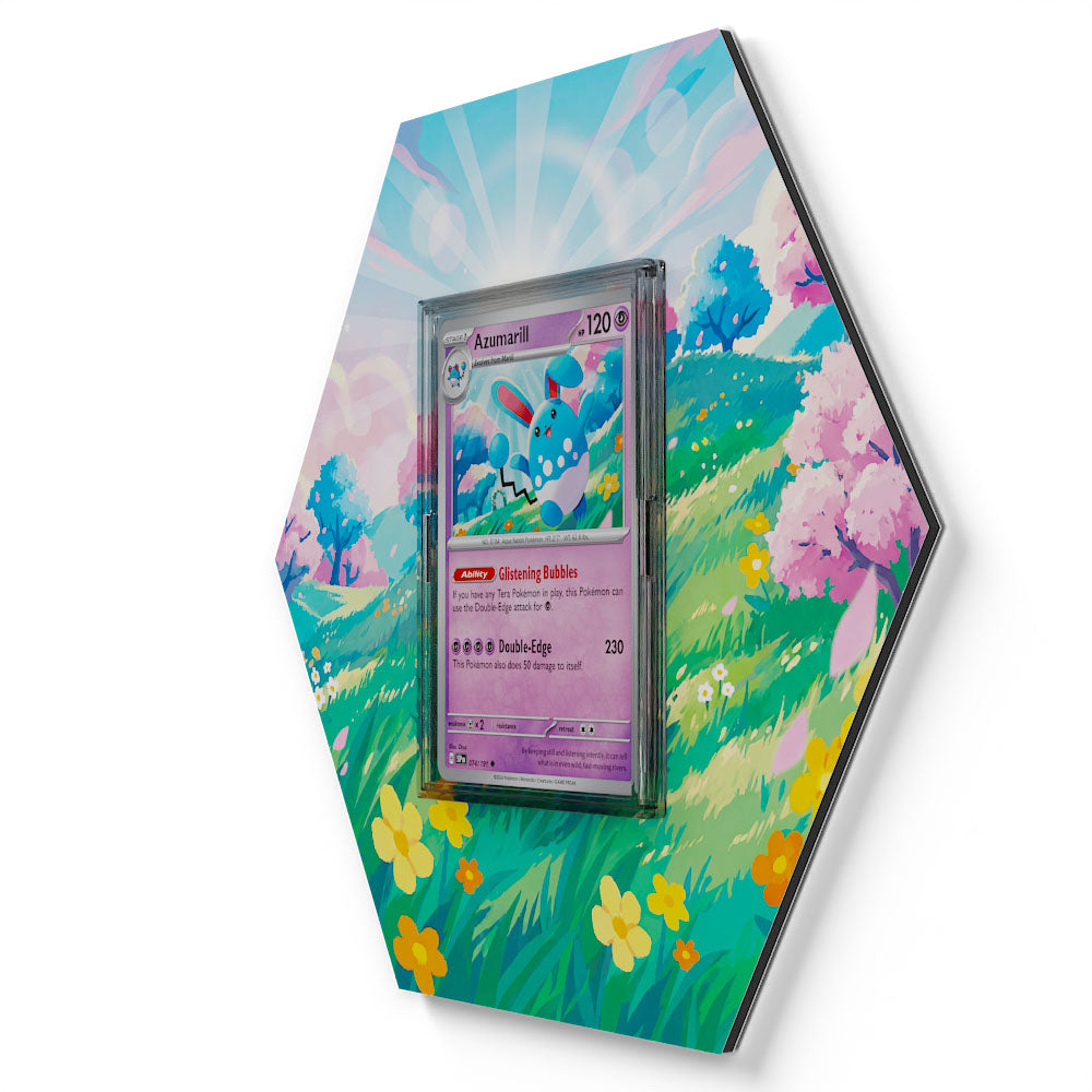 Products – CardXpand