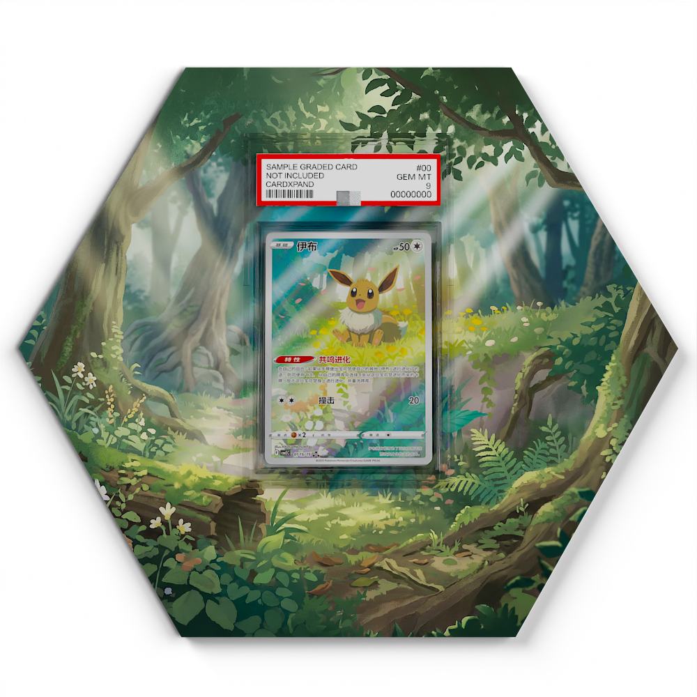 01-eevee-cbb2c large graded display
