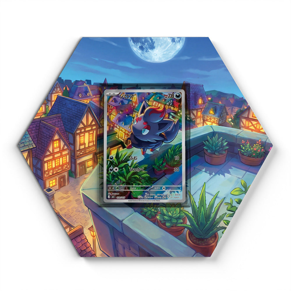 020/019 Zorua - Extended Artwork Pokemon Card Display