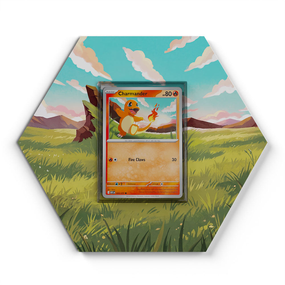 Collections – CardXpand