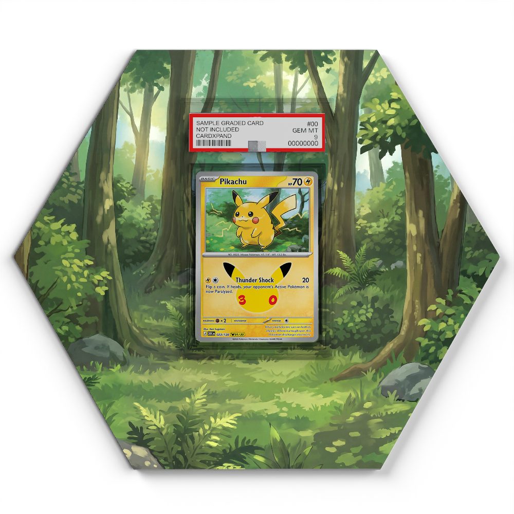 023/128 Pikachu - Extended Artwork Pokemon Card Display
