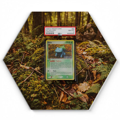 036/113 Ditto (Bulbasaur) - Extended Artwork Pokemon Card Display