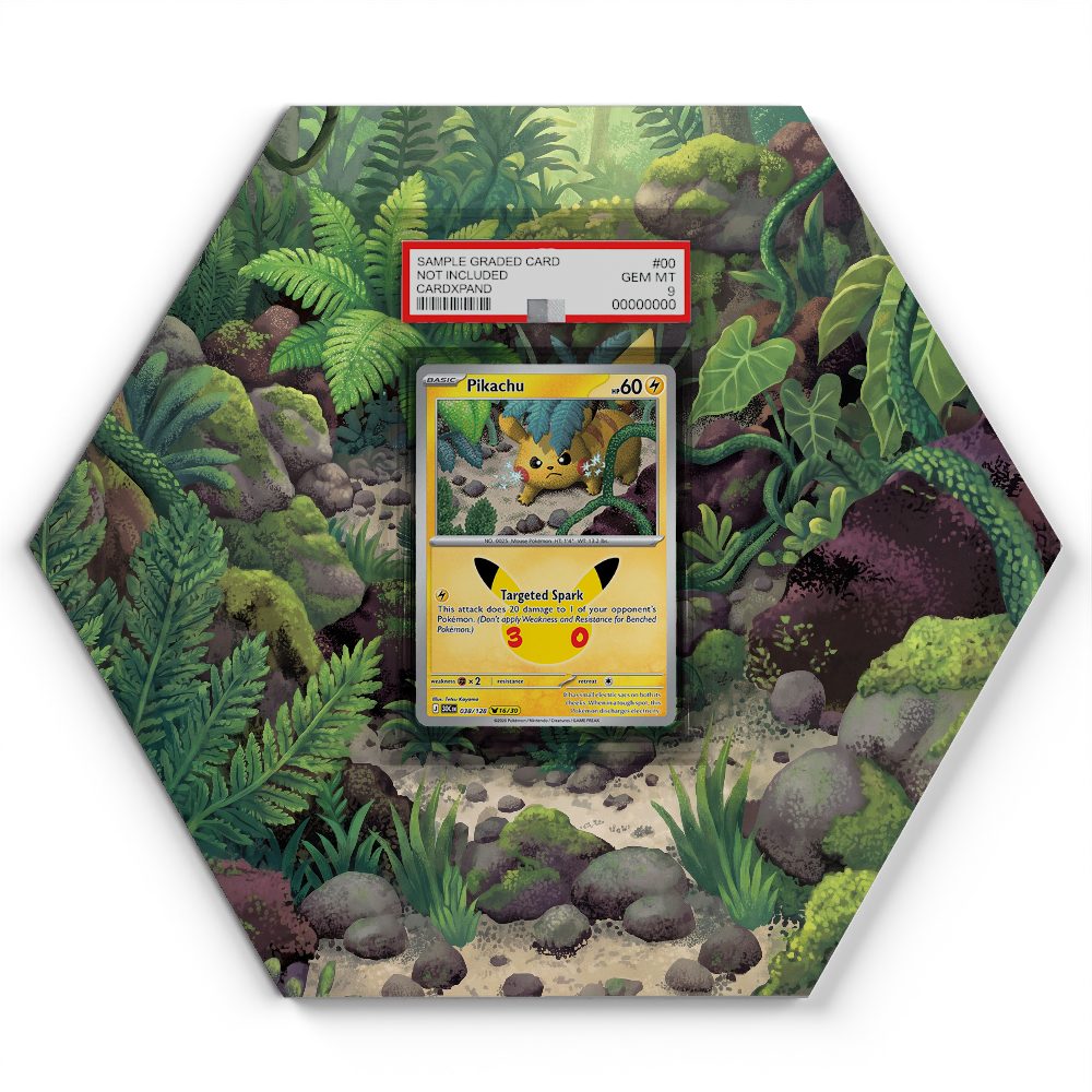 038/128 Pikachu - Extended Artwork Pokemon Card Display