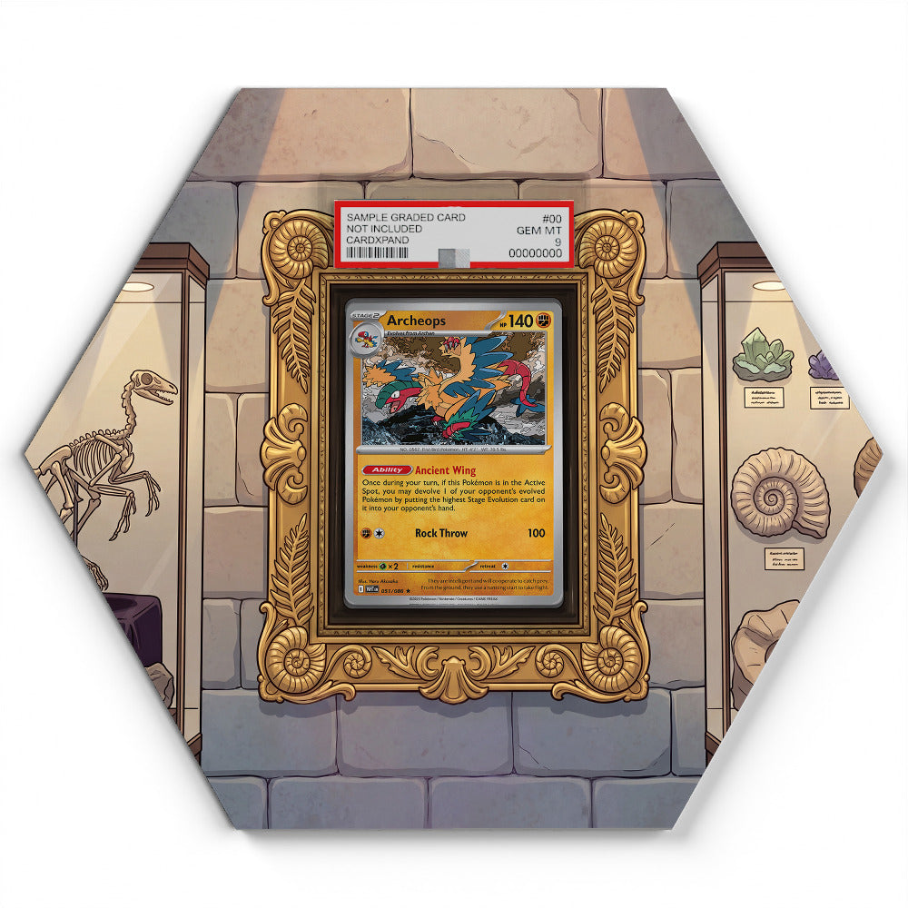 051/086 Archeops (Museum Version) - Extended Artwork Pokemon Card Display