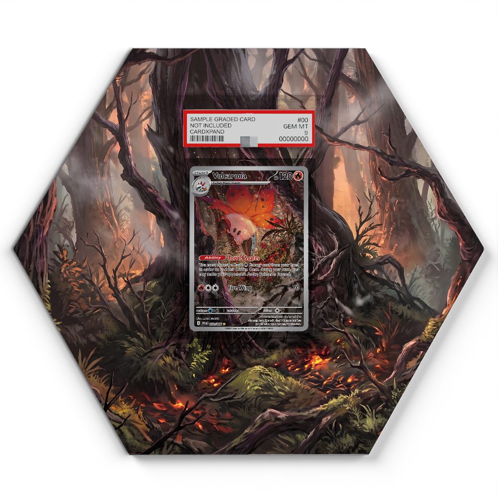 100/086 Volcarona - Extended Artwork Pokemon Card Display