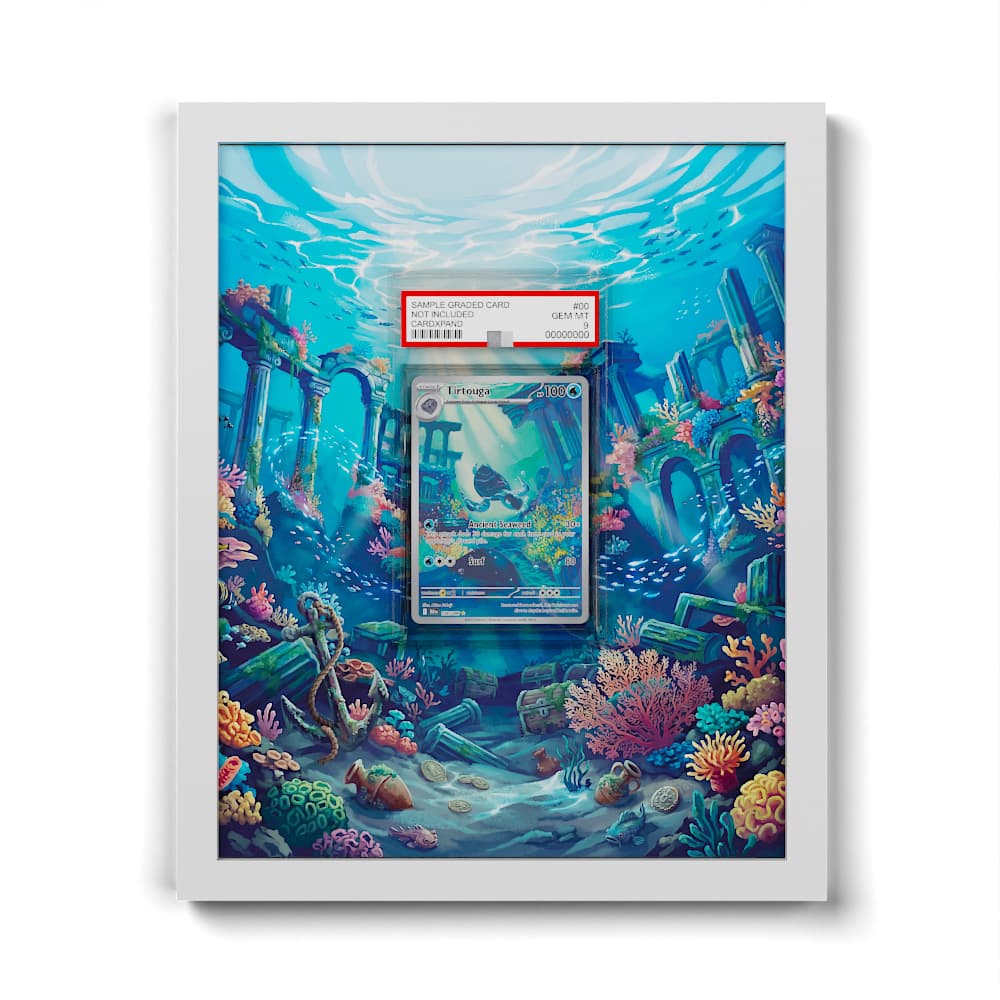 pokemon tirtouga card 106/086 - Extended Artwork Framed Display Pokemon SAR A beautiful way to Pokemon TCG - SV7 Cards:60