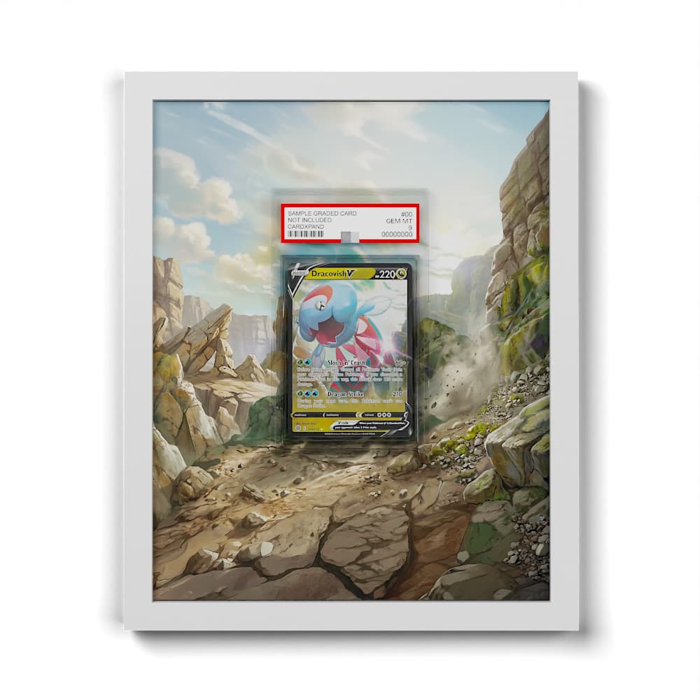 114/172 Dracovish V - Extended Artwork Framed Pokemon Card Display