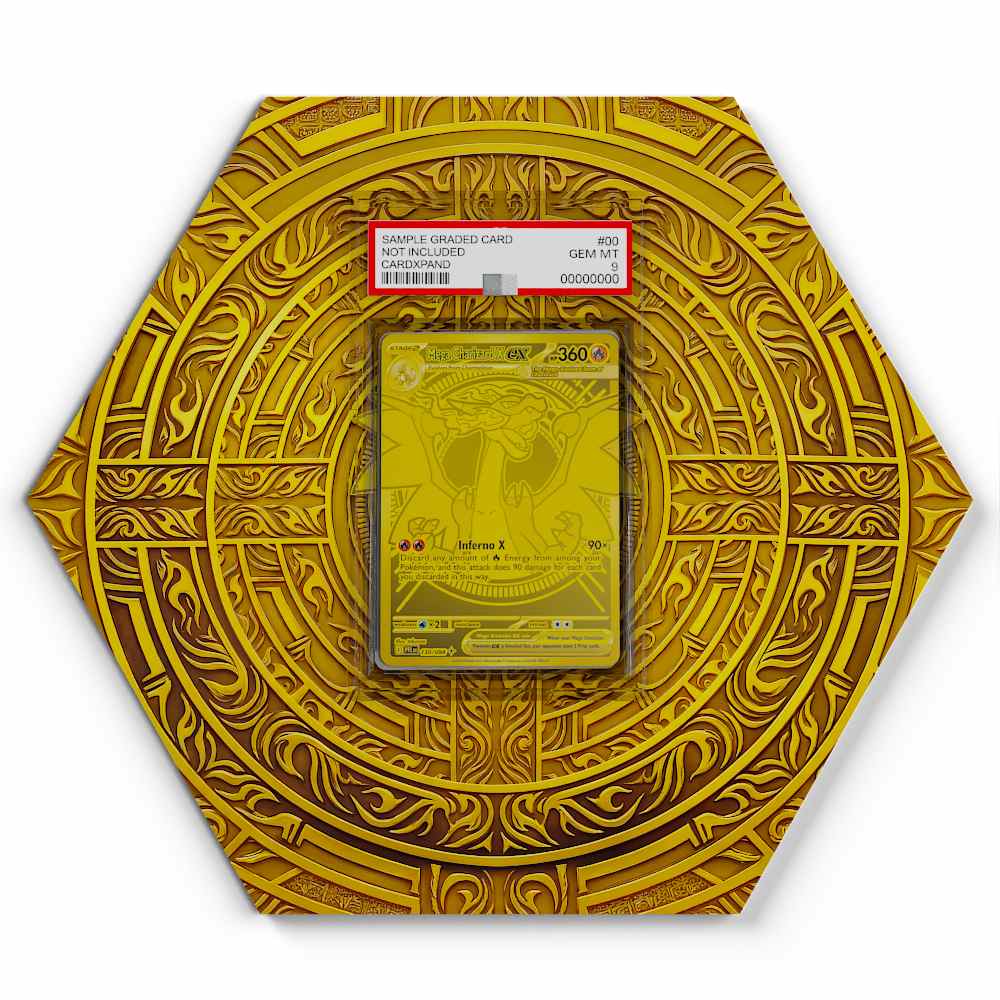 130-094-mega-charizard-x-ex large graded display