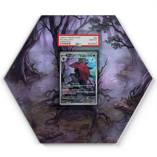 143/086 Zoroark - Extended Artwork Pokemon Card Display