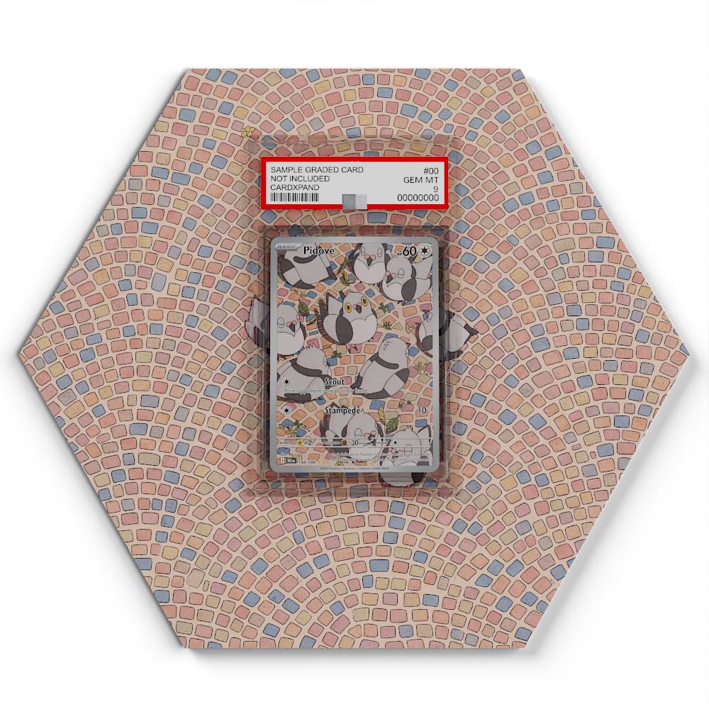 148/086 Pidove - Extended Artwork Pokemon Card Display