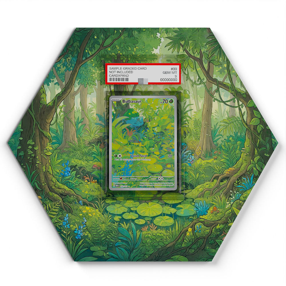 bulbasour pokemon card 166/165 Bulbasaur Rx2 / None / Birthday Pikachu 🎂 This Dice Case Color:Gold / Orange