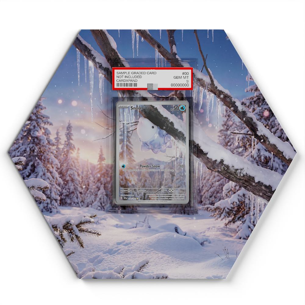 168-162-snom large graded display