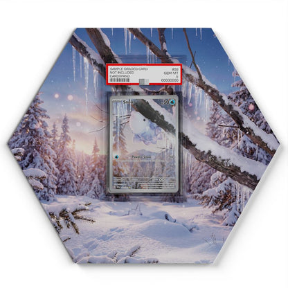 168-162-snom large graded display