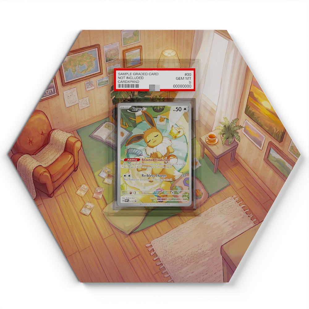 173-eevee large graded display