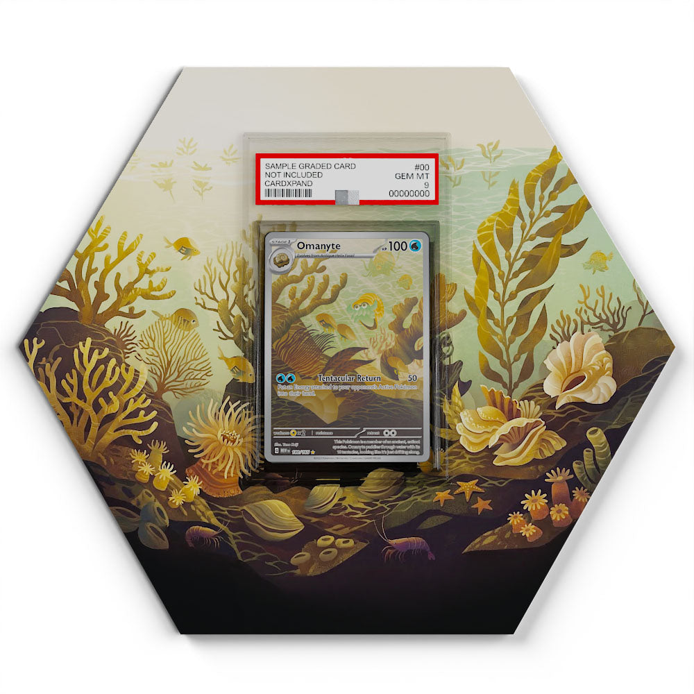 pokemon omanyte card 180/165 - Extended Artwork Display Store Pick-up Locations:Pick Up from GameXtreme Ayala Malls Marquee Magic: The Gathering Play Booster Box party grading or authentication What's The Best Starter