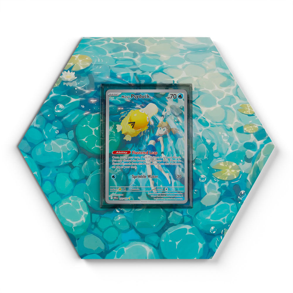Collections – CardXpand