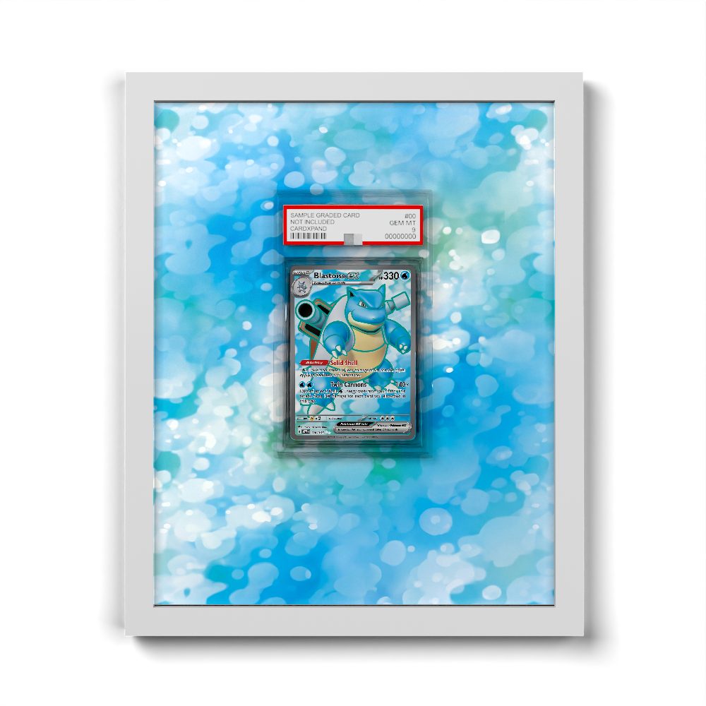 184/165 Blastoise ex - Extended Artwork Pokemon Card Frame