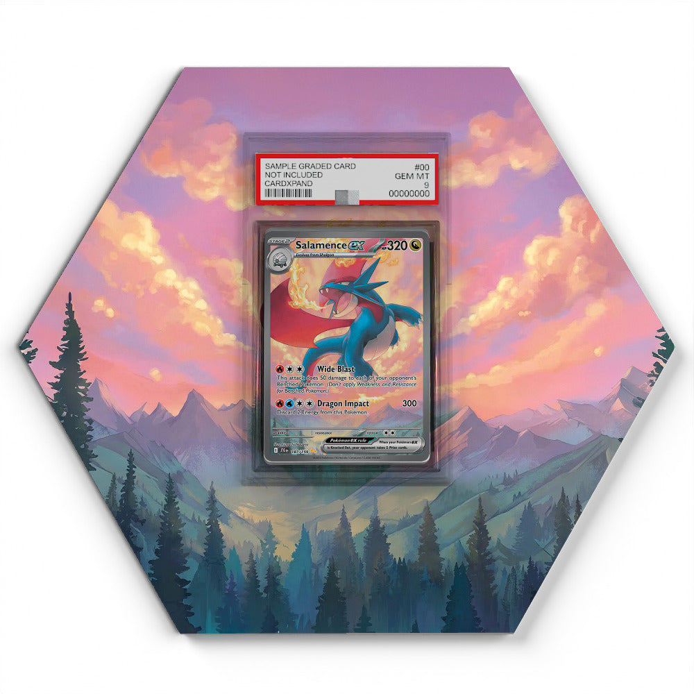 187/159 Salamence EX - Extended Artwork Pokemon Card Display