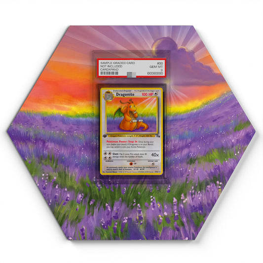 19/62 Dragonite - Extended Artwork Pokemon Card Display