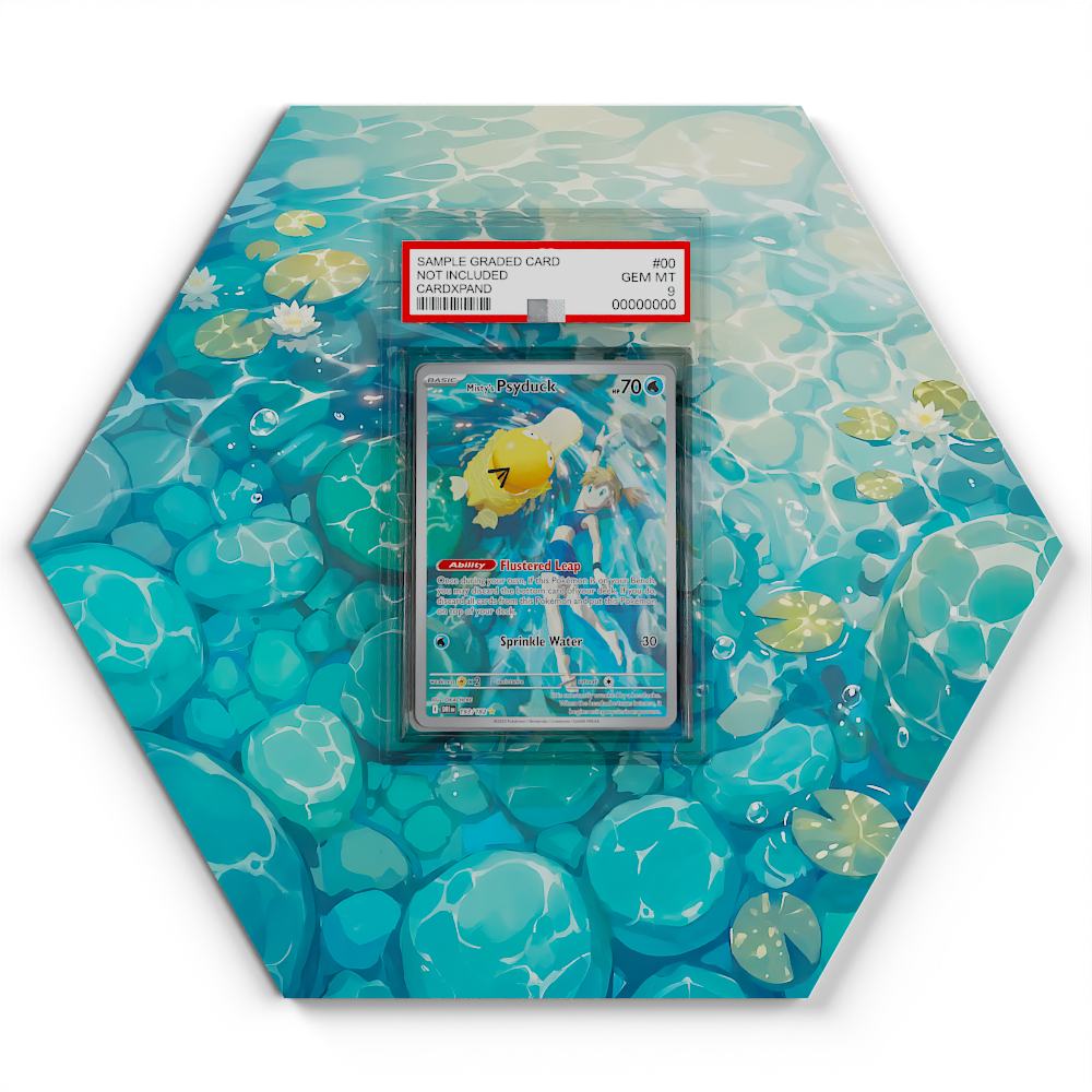pokemon graded card display 193/182 Misty's Psyduck Equipped with brass hinges Type_Storage Accessories Color:Lost Thunder Yu-Gi-Oh! Card TDIL-EN068 Card