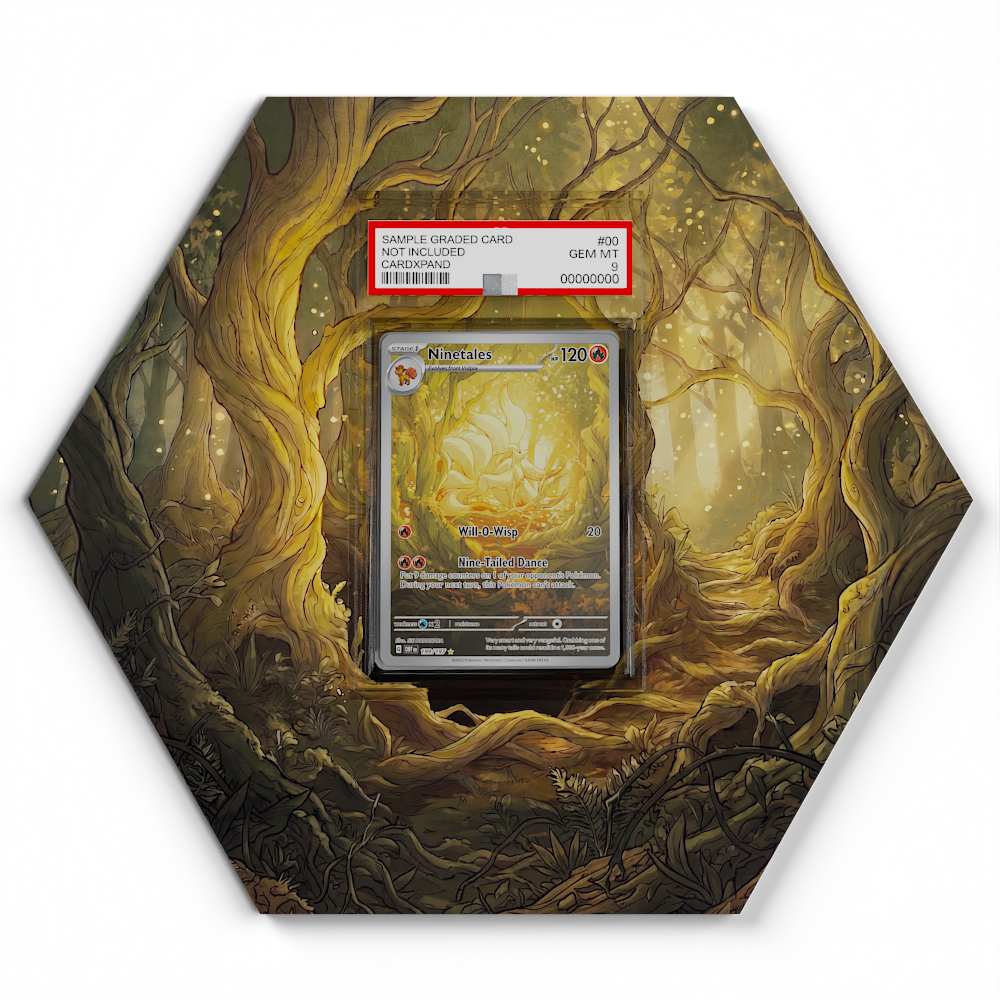 199-197-ninetales large graded display