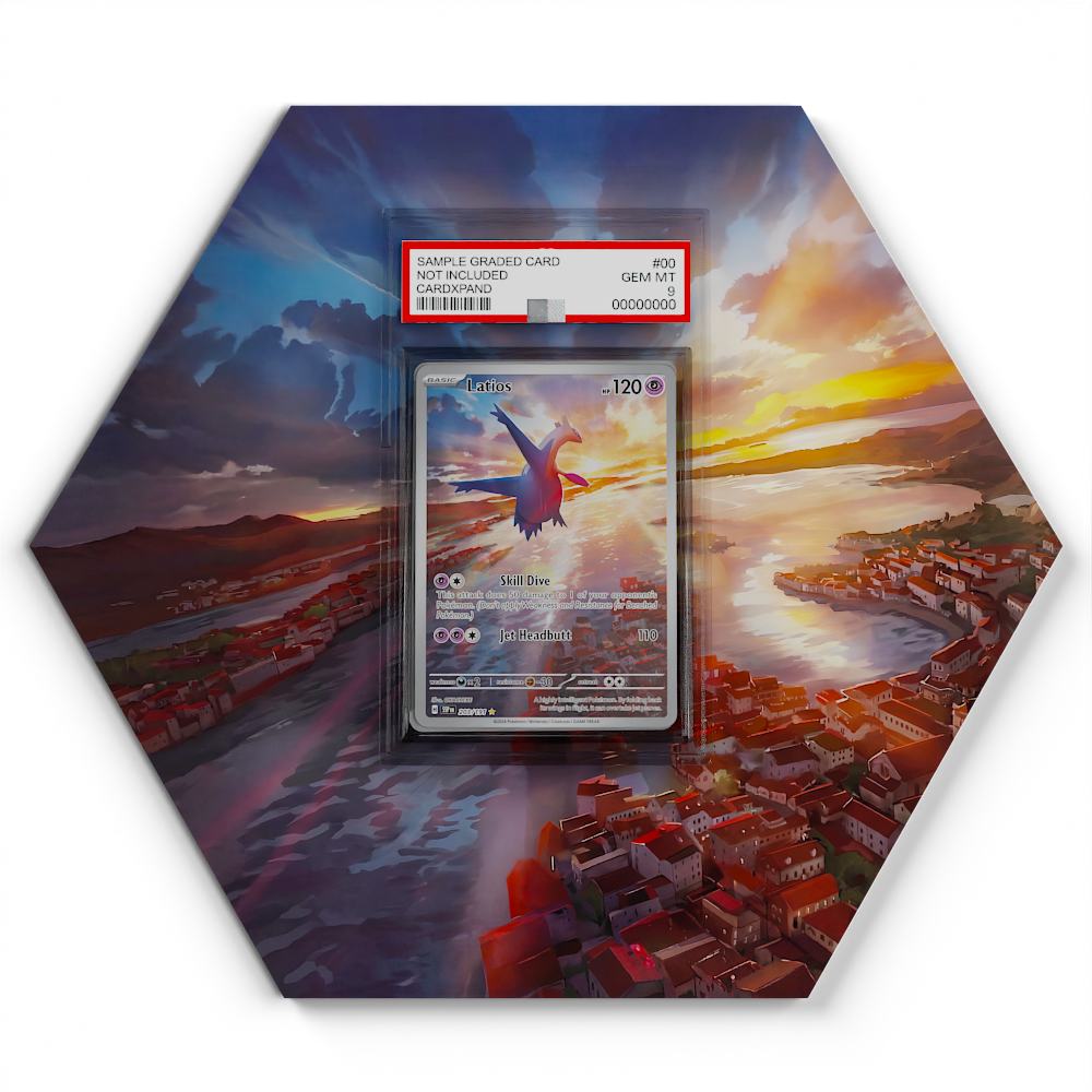 203-191-latios large graded display