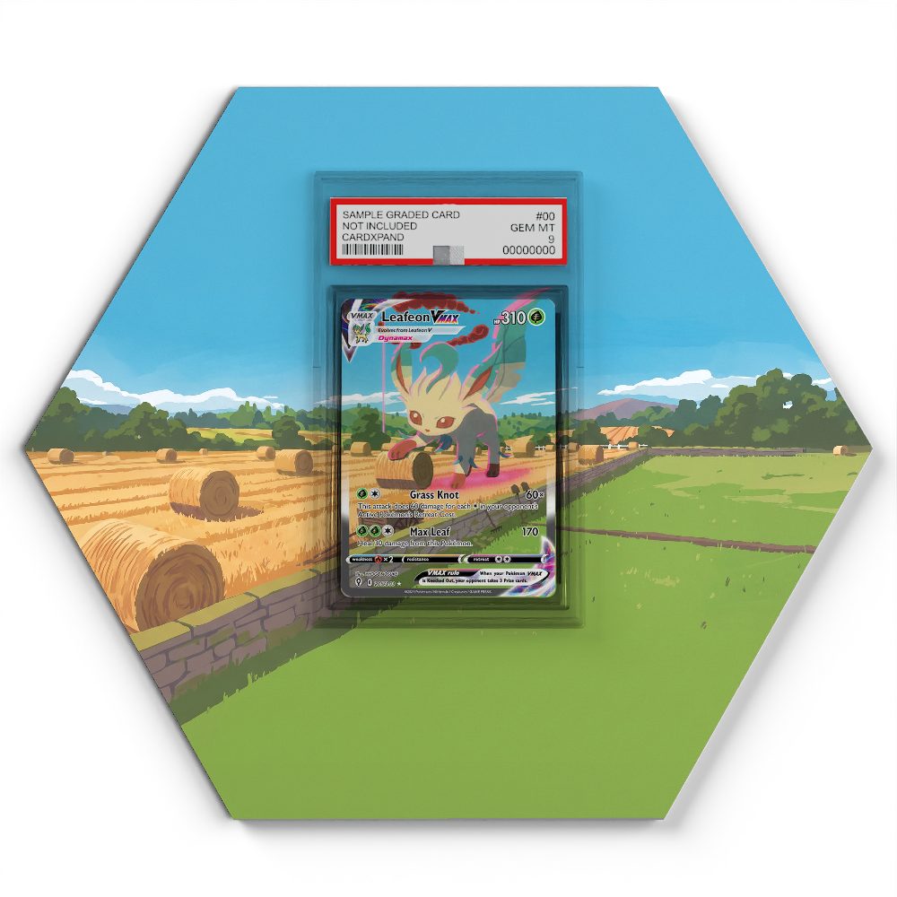 205/203 Leafeon VMAX - Extended Artwork Pokemon Card Display
