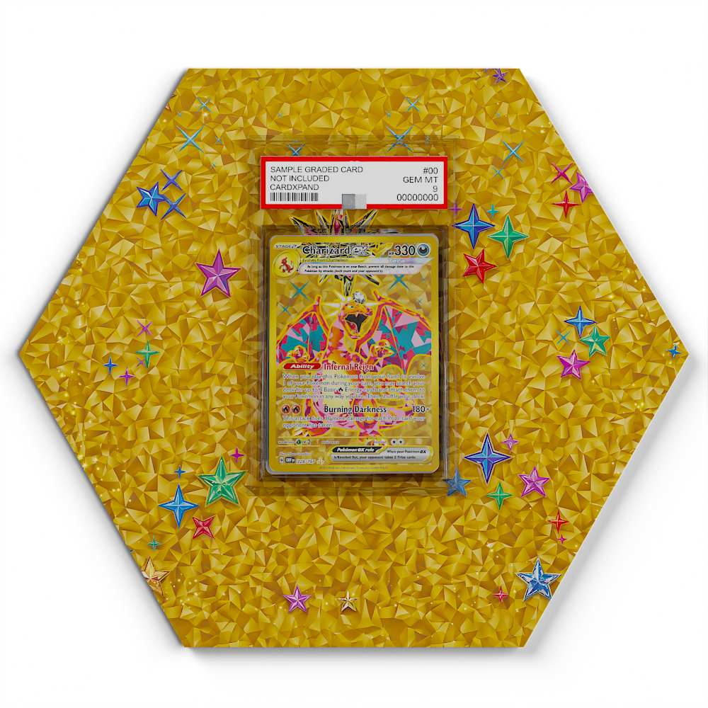 228-197-charizard large graded display