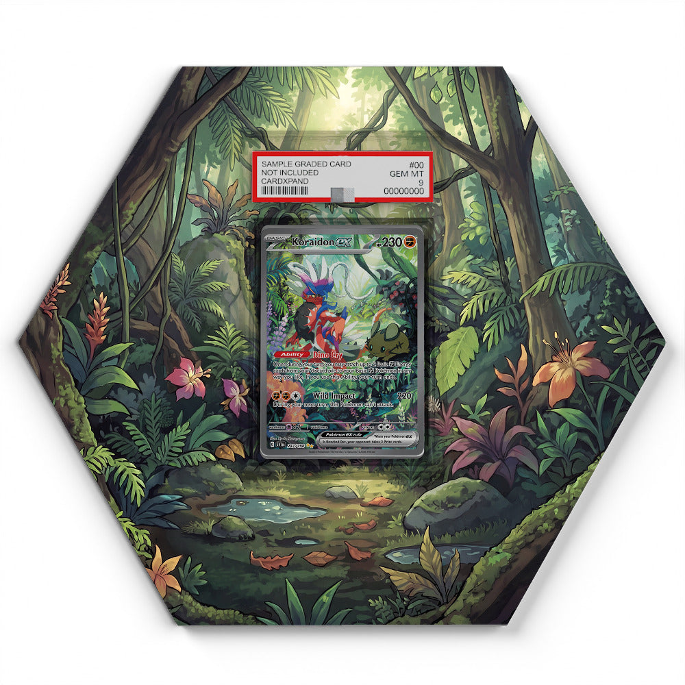 247/198 Koraidon EX - Extended Artwork Pokemon Card Display