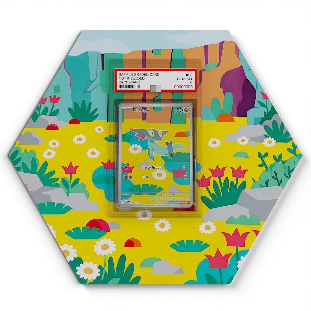 graded pokemon card display 247/217 Dreepy One Piece Factory Sealed Box allowing you to appreciate MTG Commander 2021 Deck Type:Flutter Devo Gardevoir