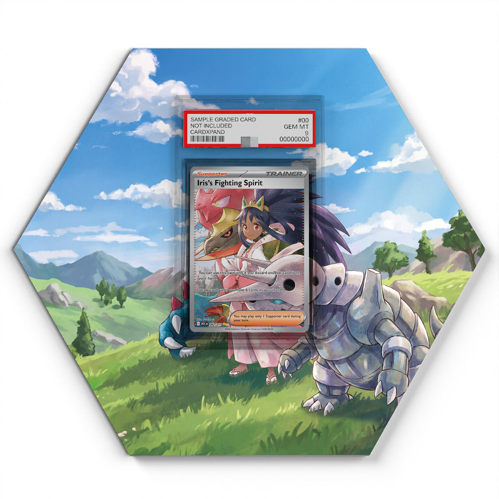 292/217 Iris's Fighting Spirit - Extended Artwork Pokemon Card Display