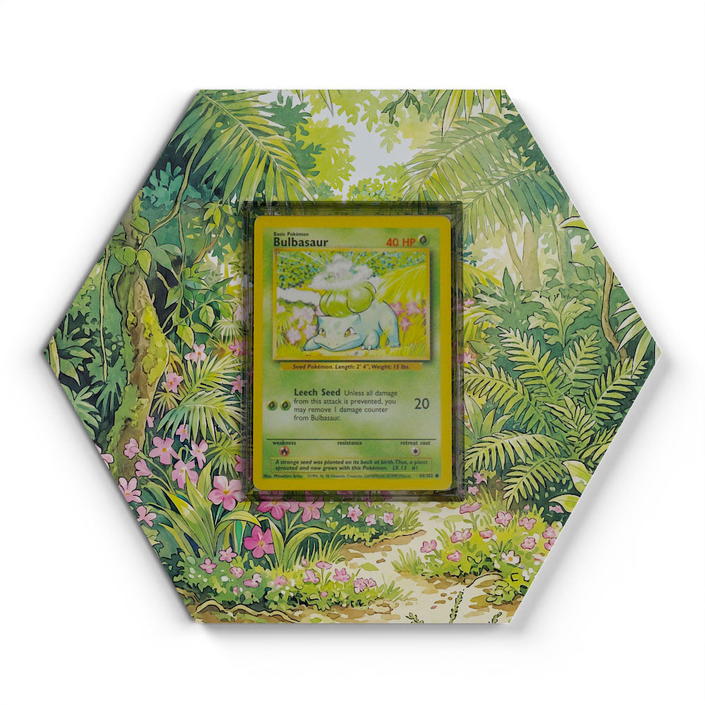 Collections – CardXpand
