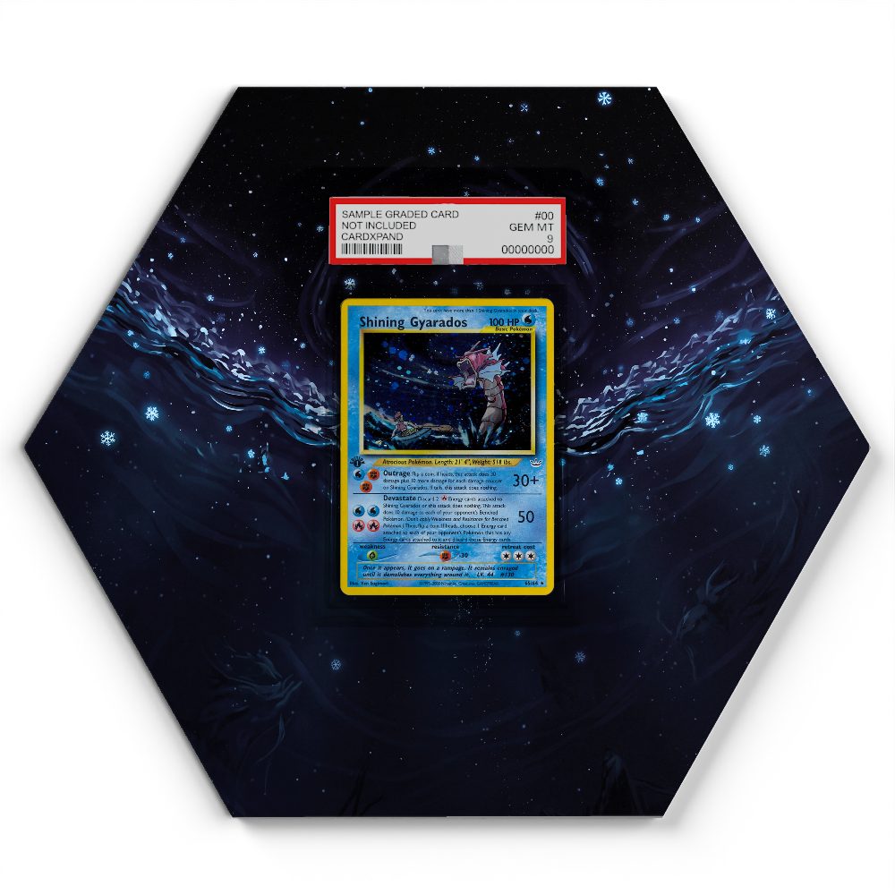 65/64 Shining Gyarados - Extended Artwork Pokemon Card Display