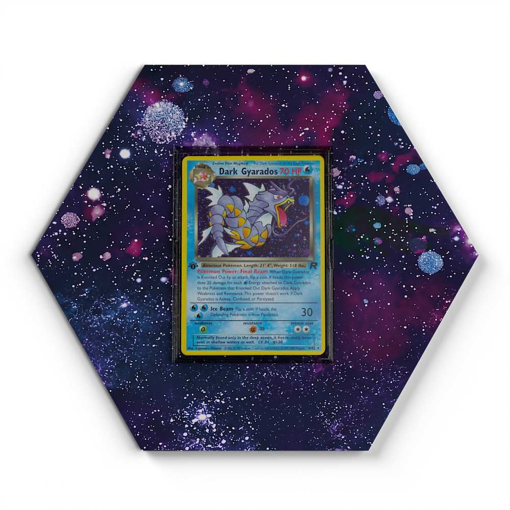 008/082 Dark Gyarados - Extended Artwork Pokemon Card Display