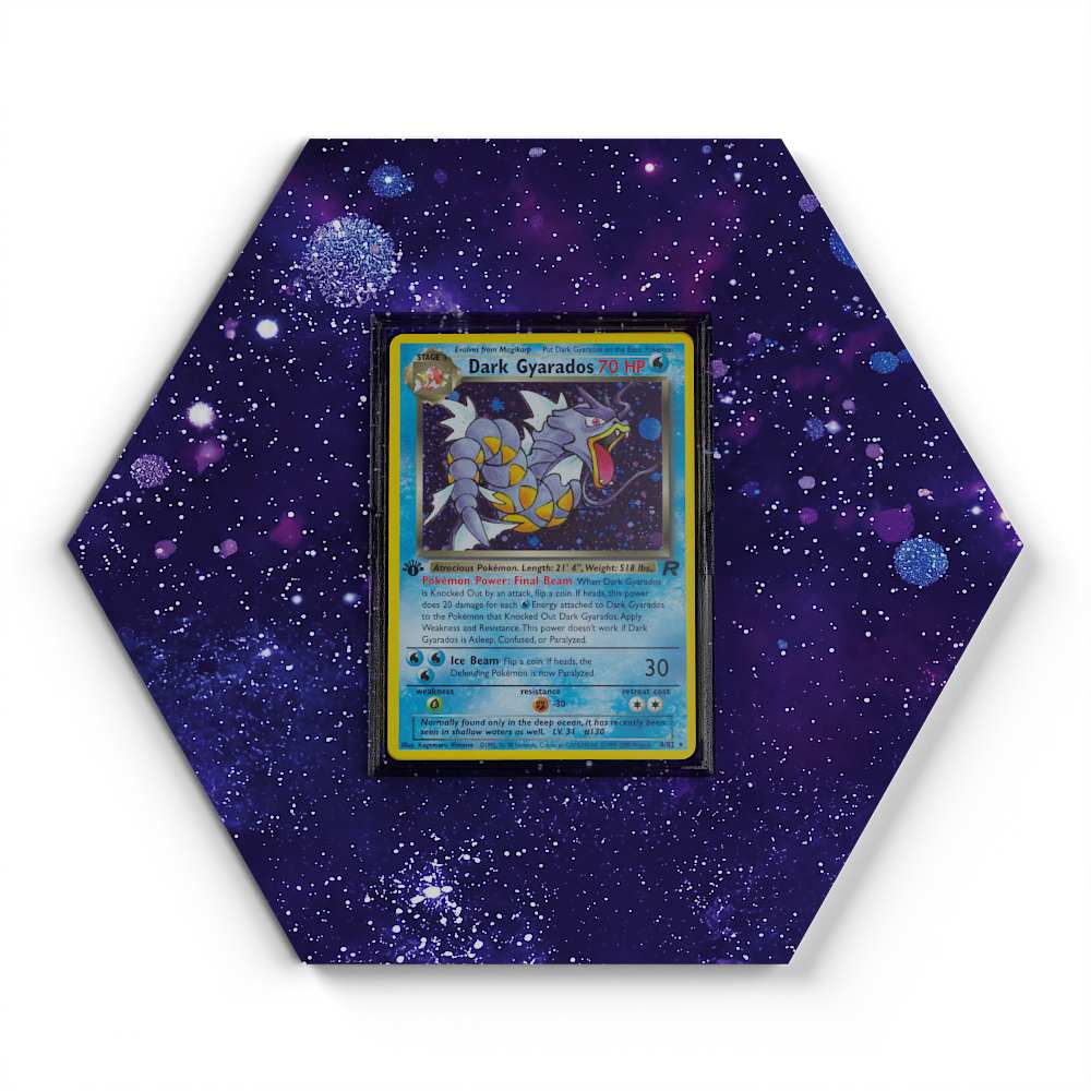 008/082 Dark Gyarados - Extended Artwork Pokemon Card Display