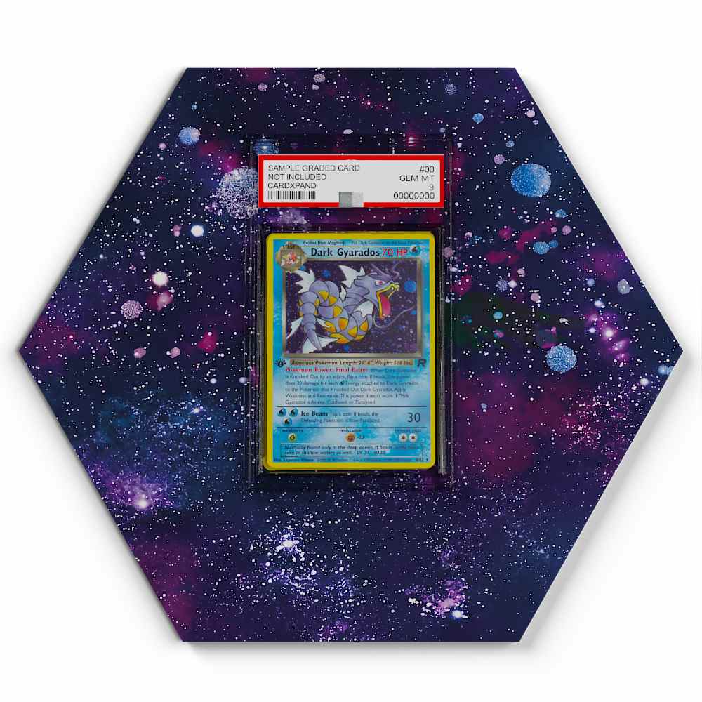 008/082 Dark Gyarados - Extended Artwork Pokemon Card Display