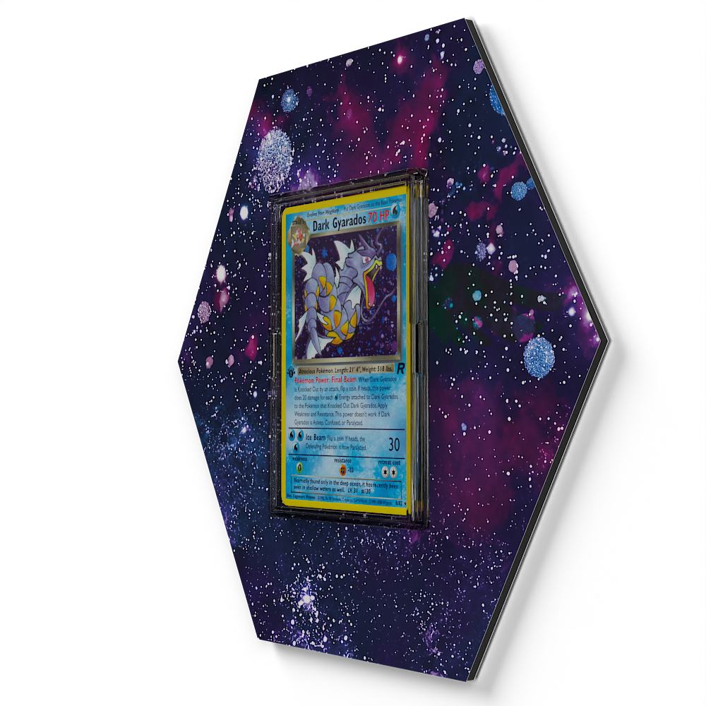 008/082 Dark Gyarados - Extended Artwork Pokemon Card Display