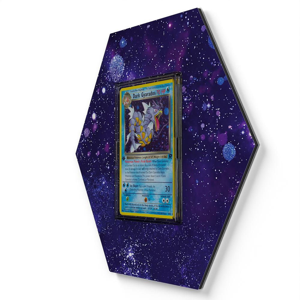 008/082 Dark Gyarados - Extended Artwork Pokemon Card Display