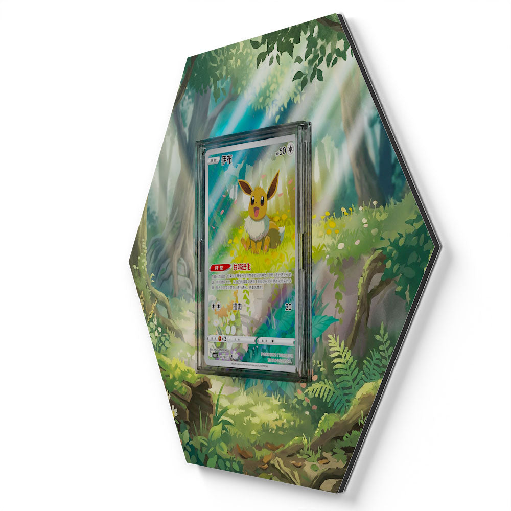01 Evoli CBB2C - Extended Artwork Pokemon Card Display