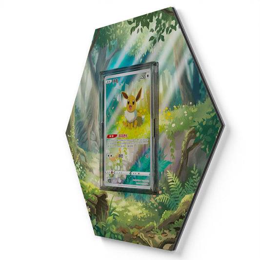 01 Eevee CBB2C - Extended Artwork Pokemon Card Display