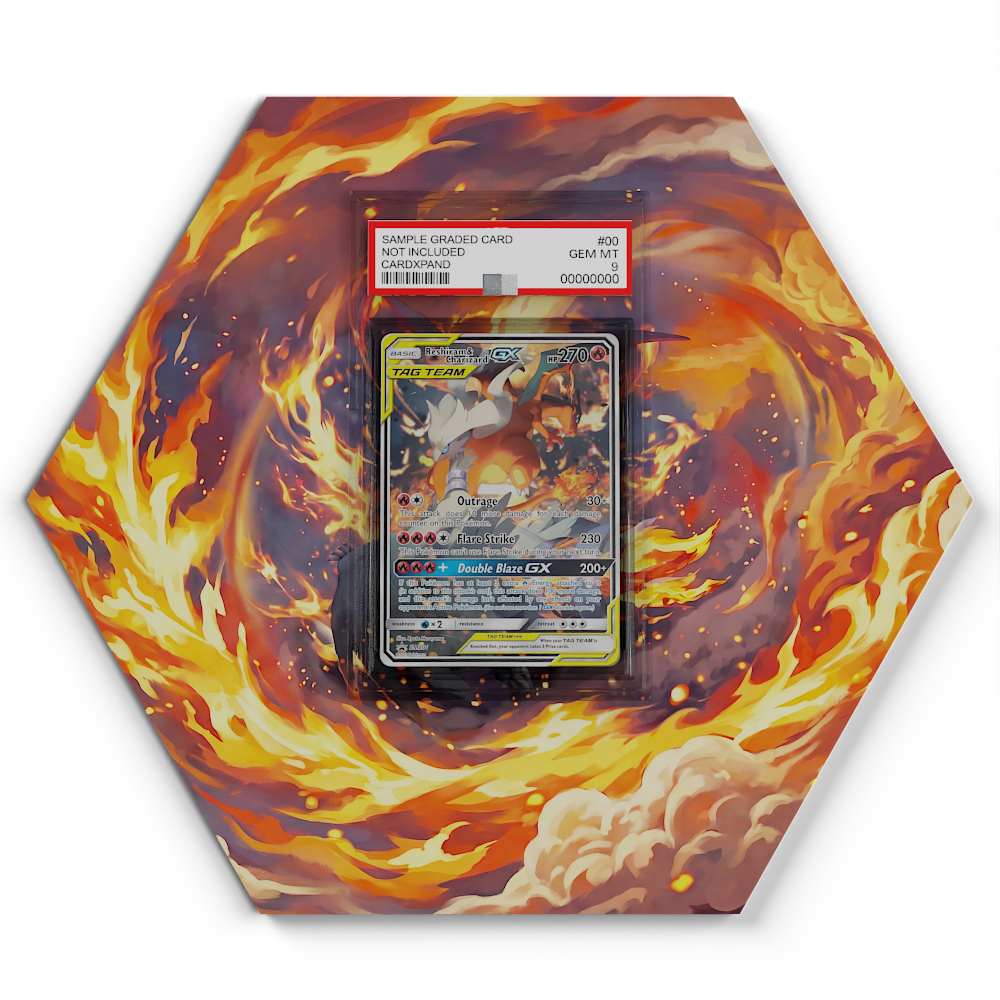 SM201 Reshiram & Charizard Tag Team GX - Extended Artwork Pokemon Card Display