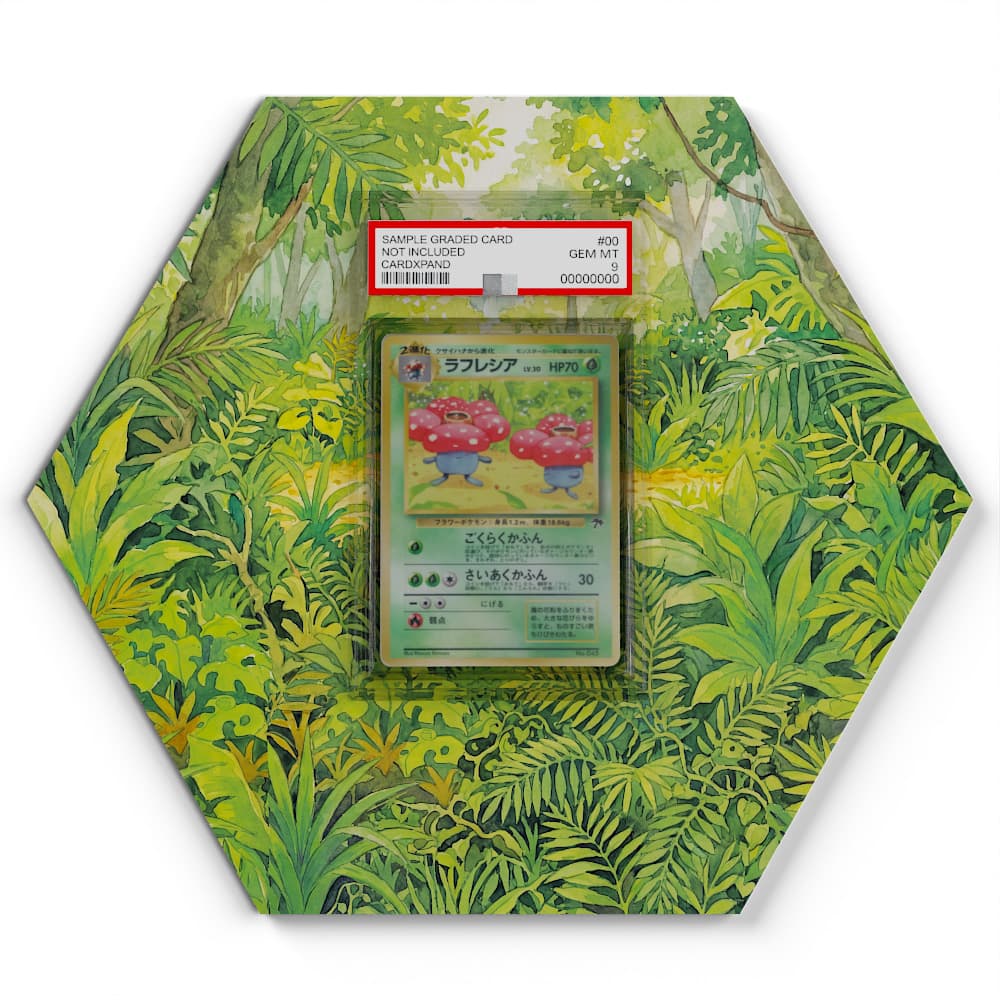 164/131 Gromago EX - Extended Artwork Pokemon Card Display