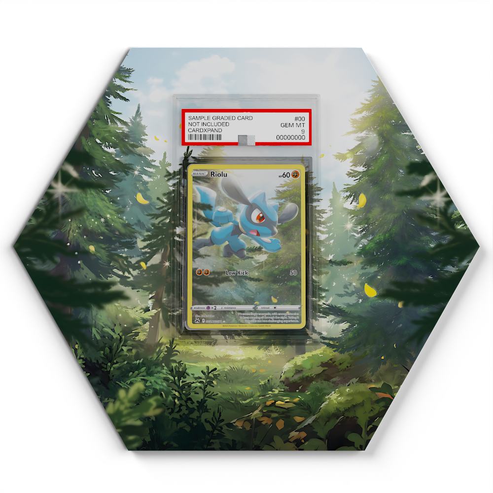 gg26-gg70-riolu large graded display