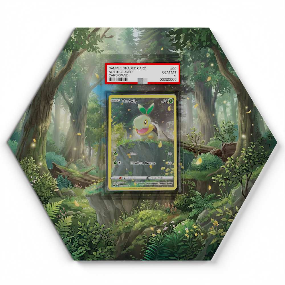 gg31-gg70-turtwig large graded display